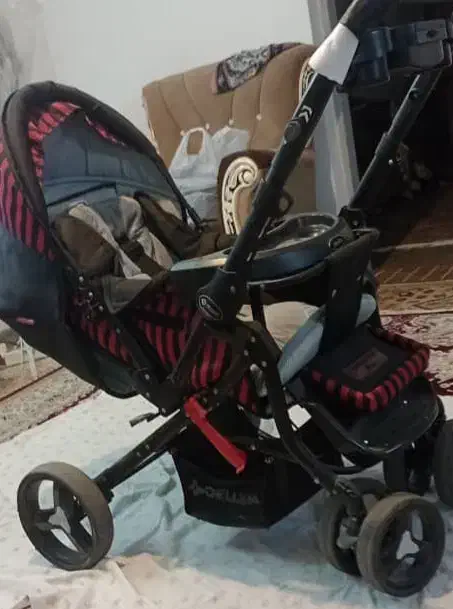 کالسکه دلیجان|کالسکه و لوازم جانبی|لنگرود, |دیوار