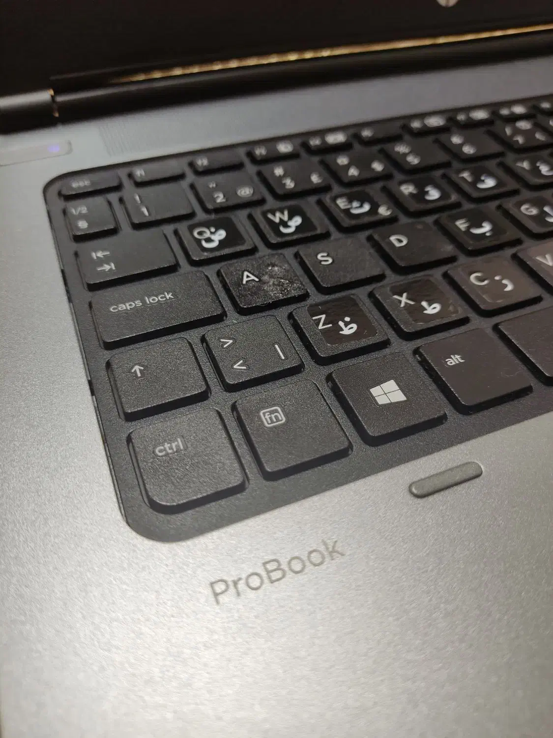 لپ تاب HP|رایانه همراه|چالوس, |دیوار