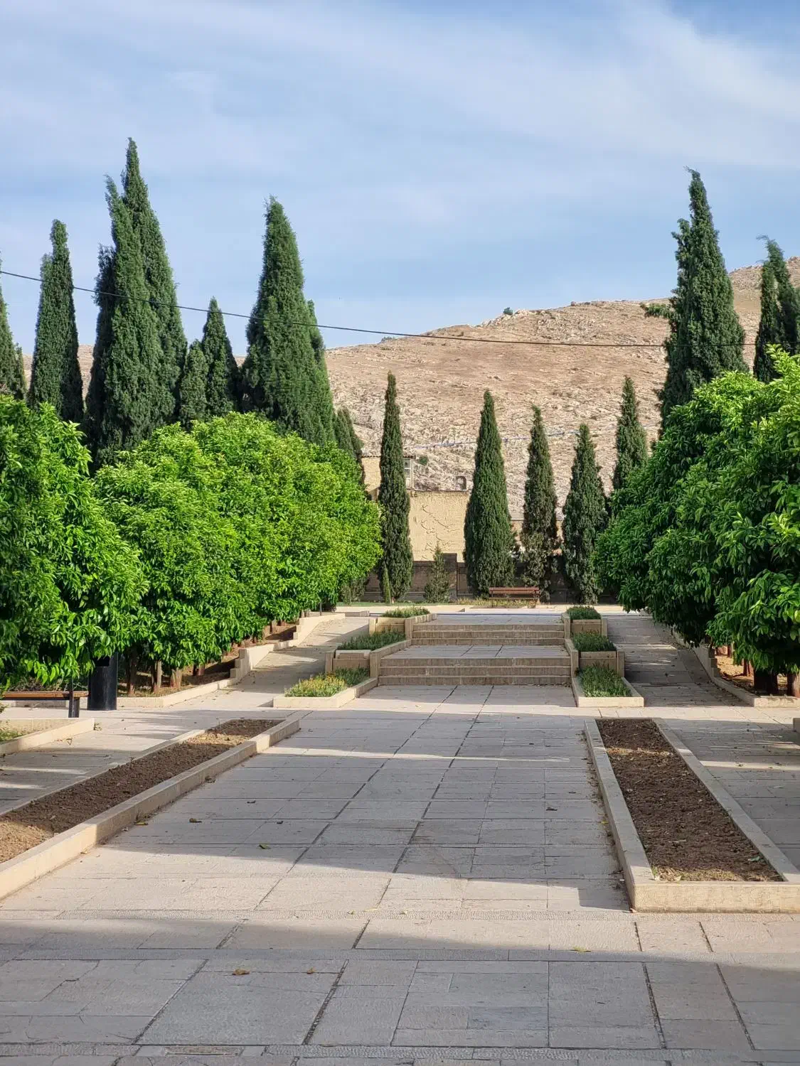 فروش باغ انگور قرمز موقعیتی بی نظیر|فروش دفتر صنعتی، کشاورزی، تجاری|نوشین شهر, |دیوار