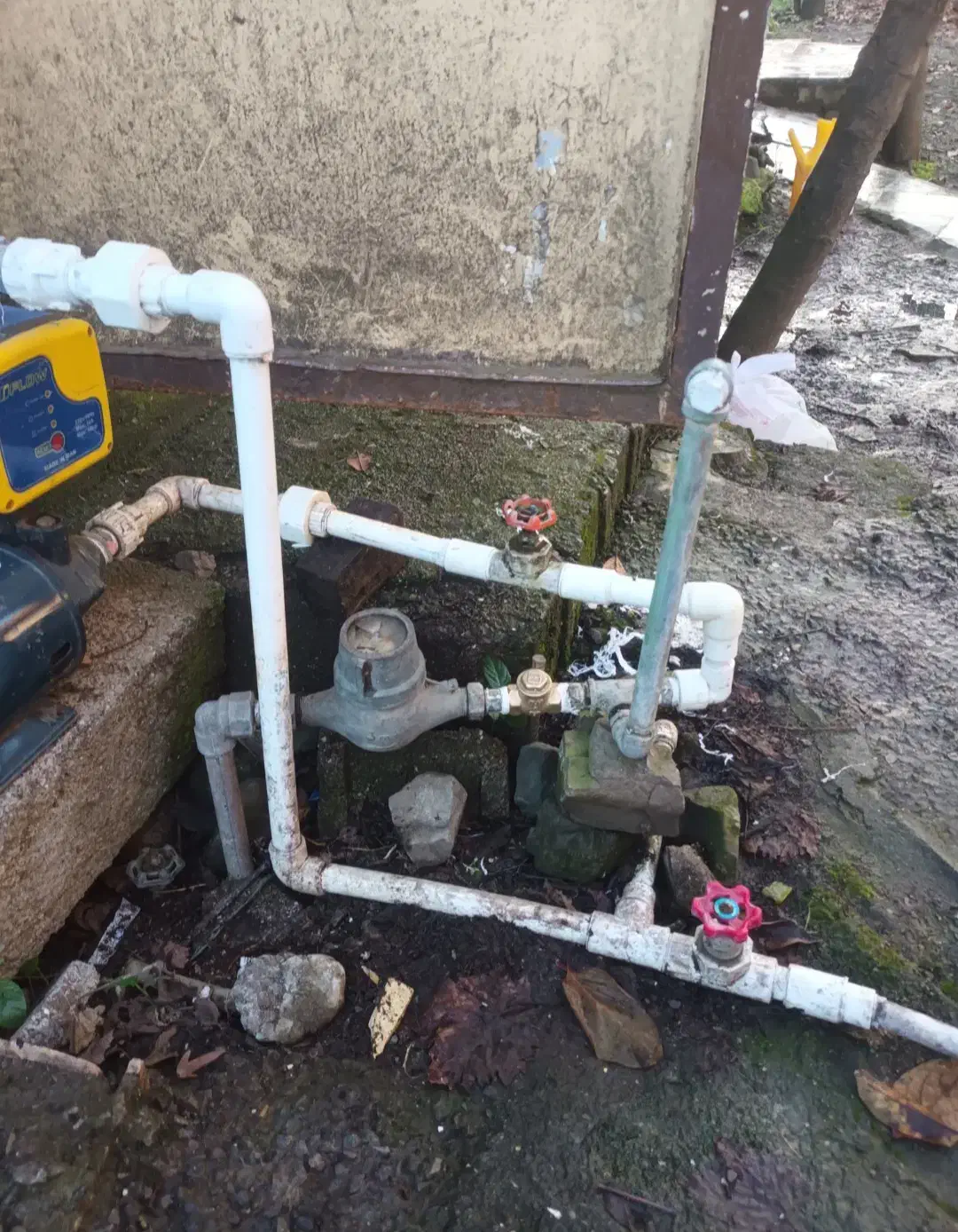 خدمات وتعمیرات|خدمات پیشه و مهارت|تالش, هشتپر|دیوار