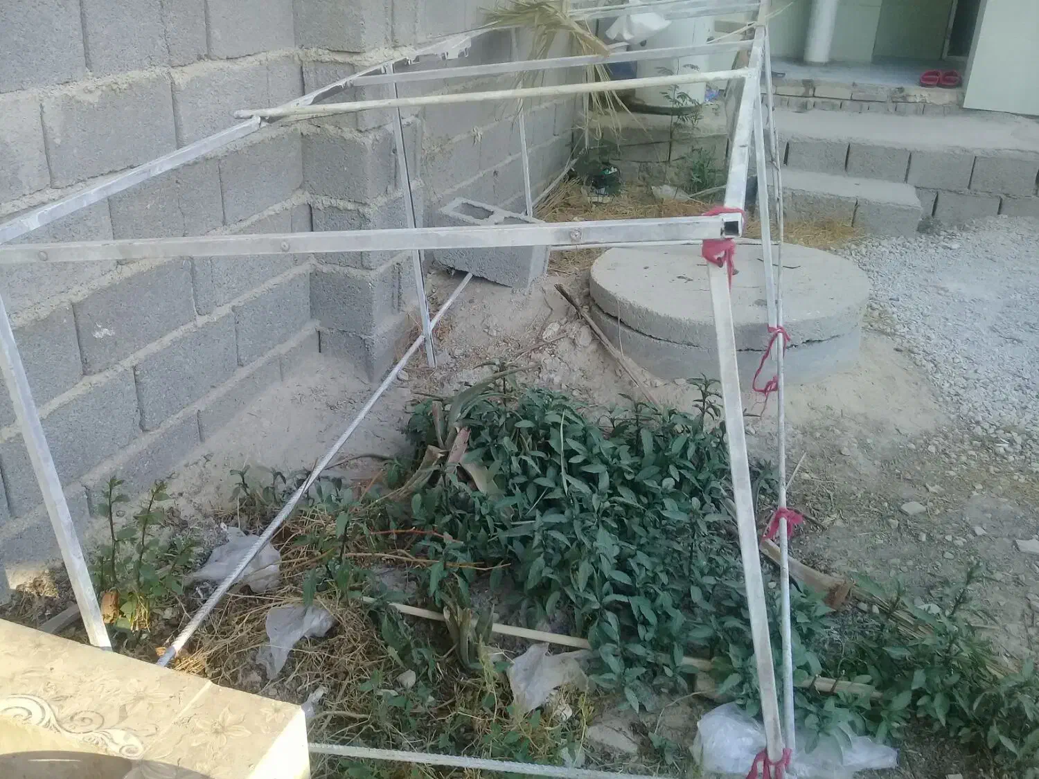 ۲عددمیز میوه تربار فروشی|فروشگاه و مغازه|برازجان, |دیوار