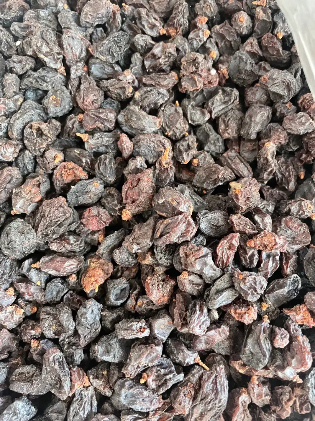 مویز ایرانی|خوردنی و آشامیدنی|شاهین‌شهر, شهرک هشت بهشت|دیوار