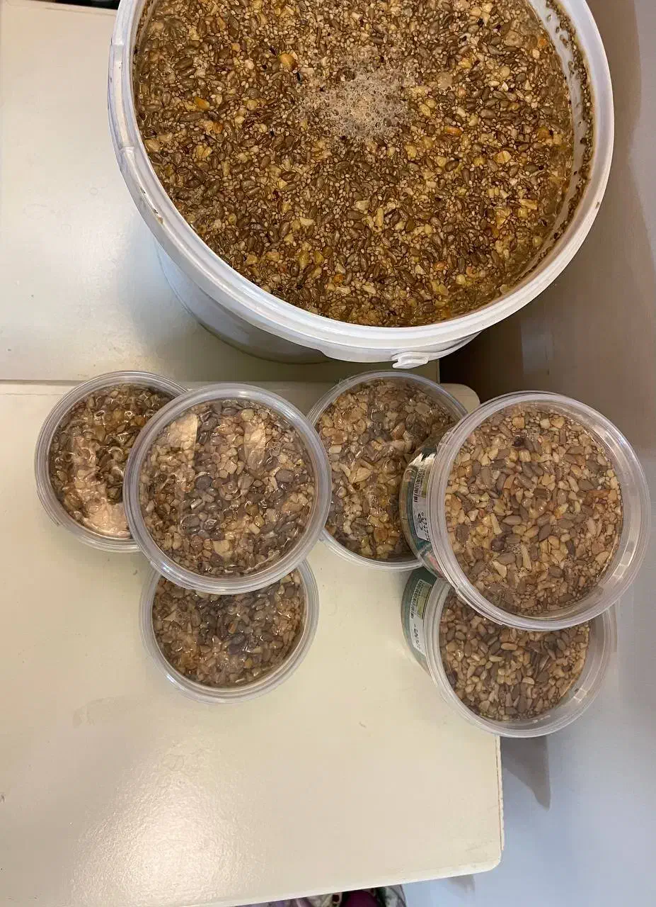 معجون مغزدار سنتی با ارده عصاری ( عمده )|خوردنی و آشامیدنی|گرگان, |دیوار