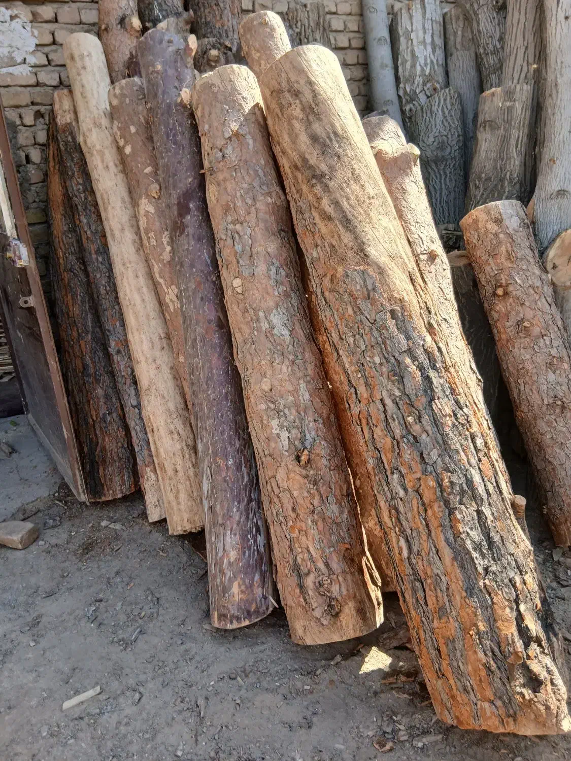 خریدار انواع چوب|خدمات باغبانی و درختکاری|الشتر, |دیوار