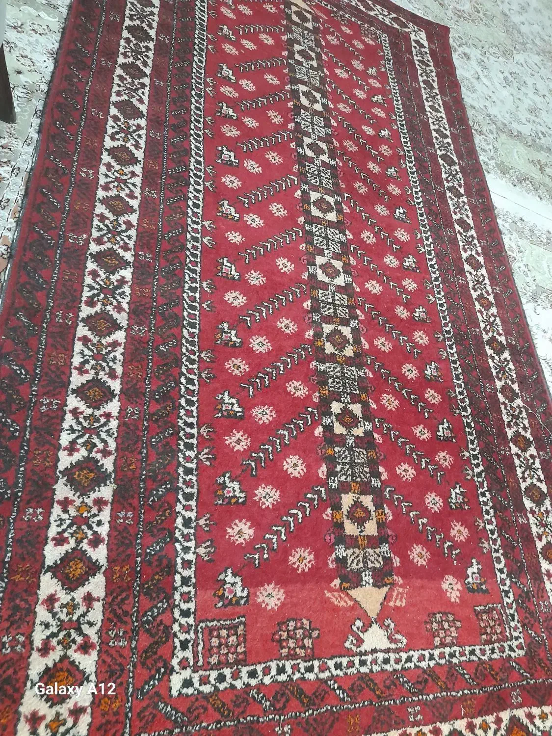 قالیچه دست بافت|فرش|مشهد, ادیب نیشابوری (شهرک غرب)|دیوار