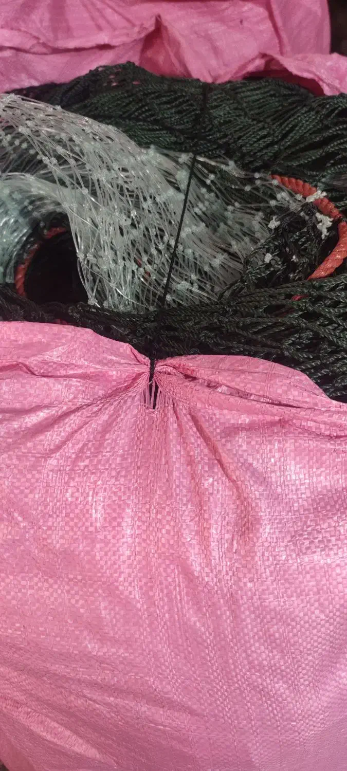 تک تور|ماهیگیری|بوشهر, |دیوار