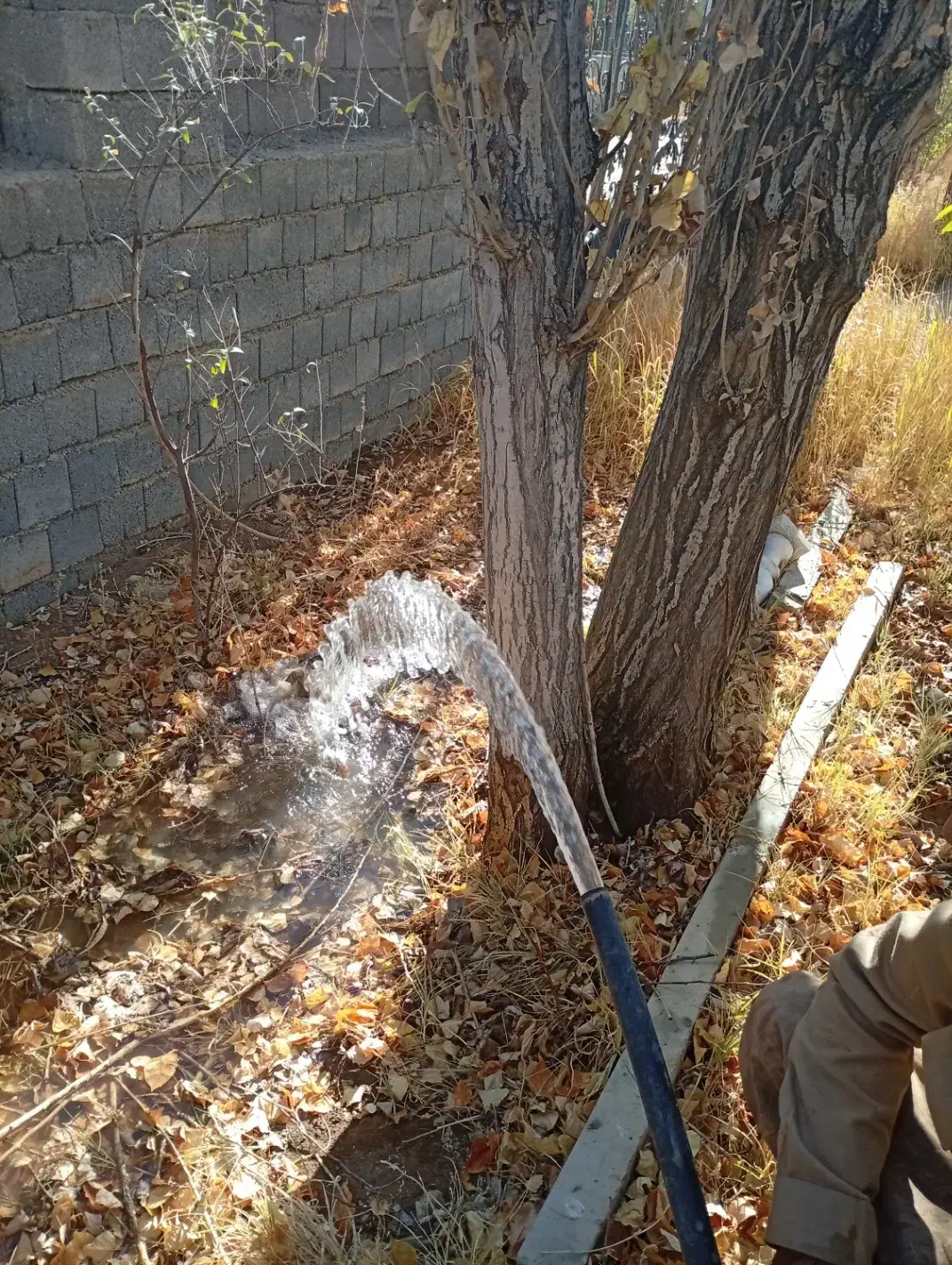 چاه کن حرفەای روزکارو متری|خدمات پیشه و مهارت|سقز, |دیوار