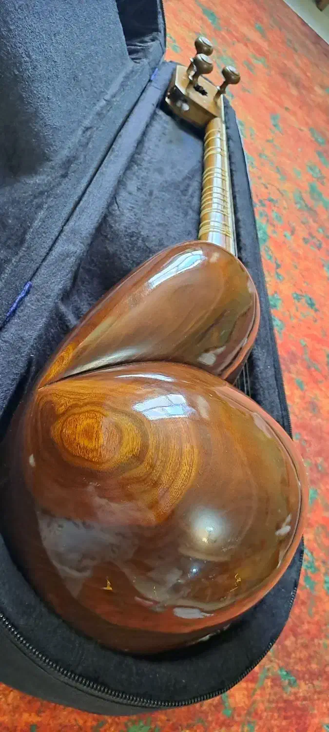 تار استاد محمد حاتمی|سازهای سنتی|شیراز, ریشمک|دیوار