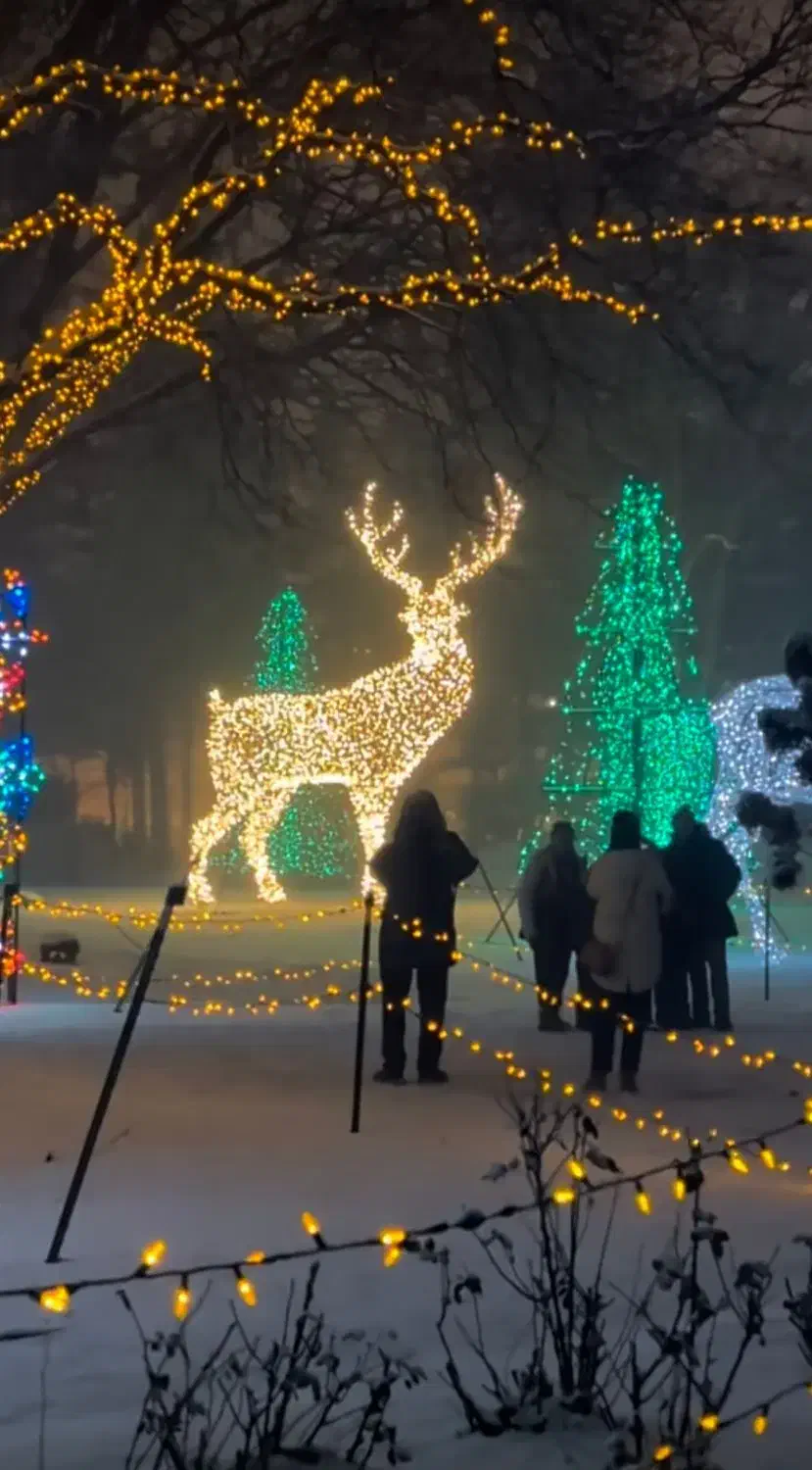 مجسمه 3متری گوزن|مجسمه، تندیس، ماکت|نجف‌آباد, یزدانشهر|دیوار