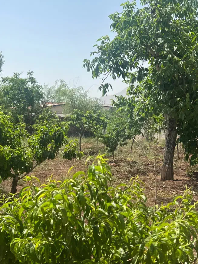 فروش زمین ۲۰۰ متری در جابان بزرگ|فروش زمین و ملک کلنگی|دماوند, گیلاوند|دیوار