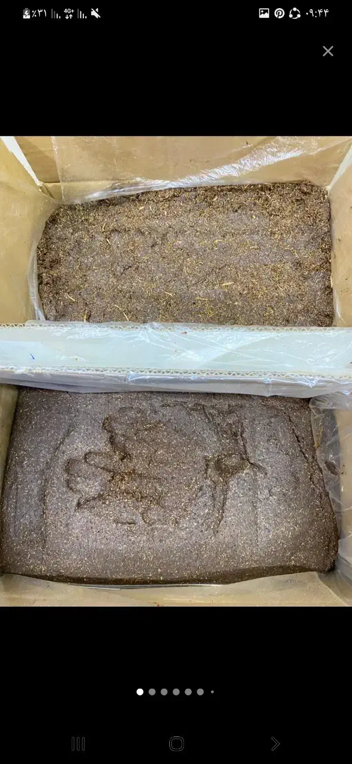 خمیر کشمش|عمدهفروشی|زنجان, |دیوار