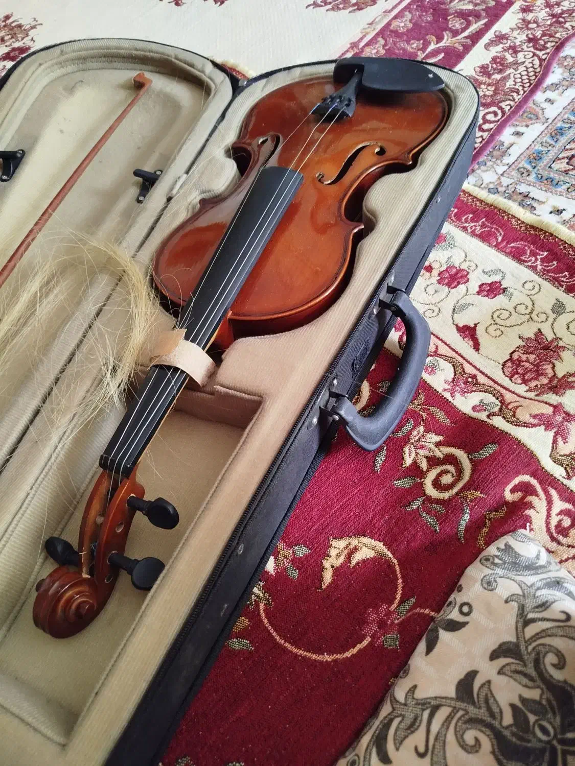 فروش ویلون|ویولن|اردبیل, |دیوار