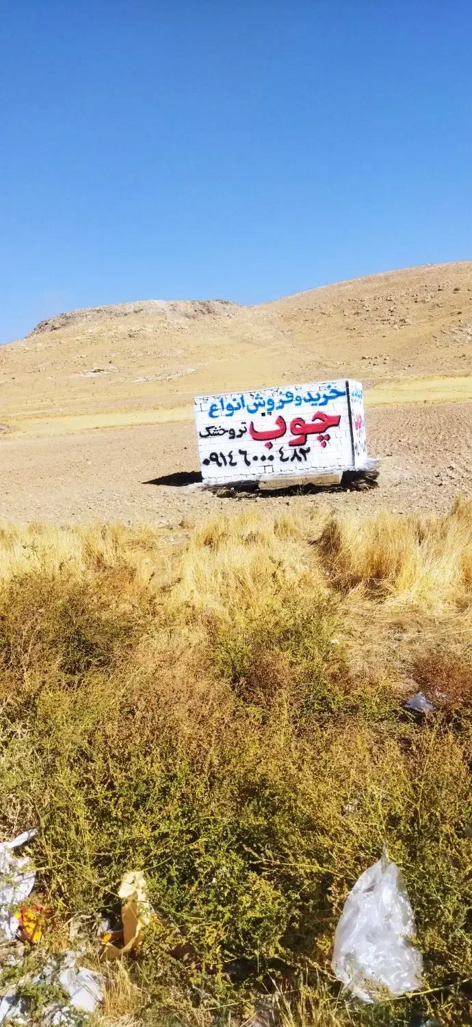 خرید و فروش و برش انواع چوب تر  و خشک|خدمات باغبانی و درختکاری|بوکان, |دیوار