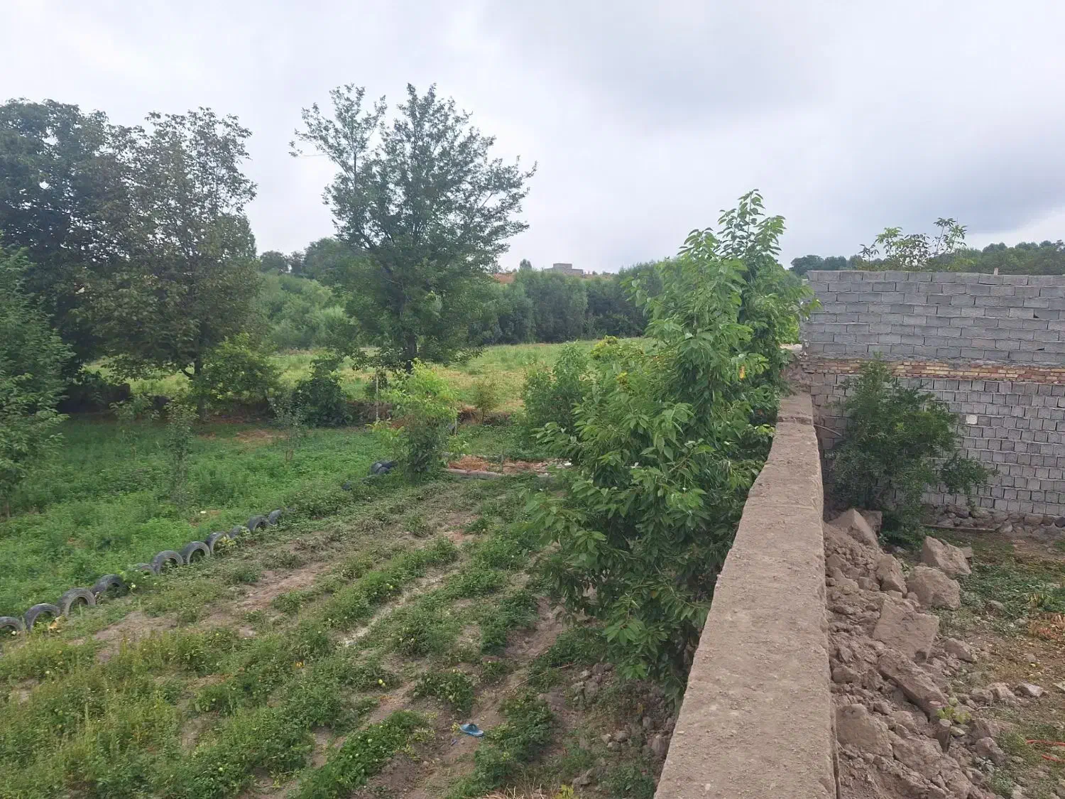 فروش زمین باغ در روستای خرم اباد (خرامو)|فروش زمین و ملک کلنگی|مشگین شهر, |دیوار