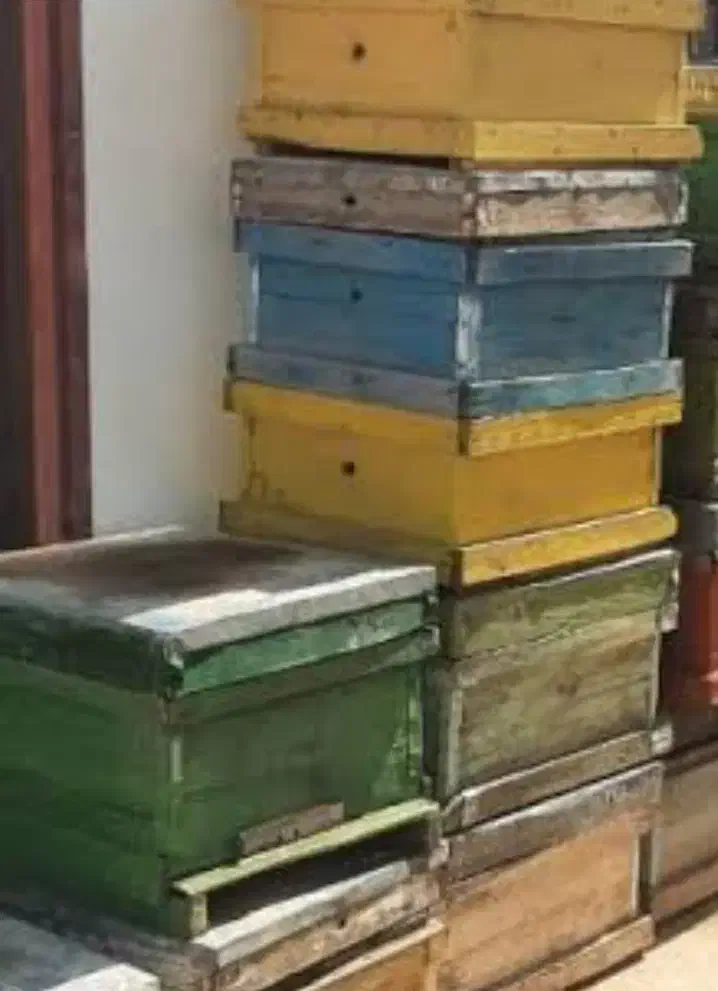 کندوی ترک تعداد ۴۰ عدد و چند تا هم طبق موجوده|حیوانات مزرعه|عباسآباد, |دیوار