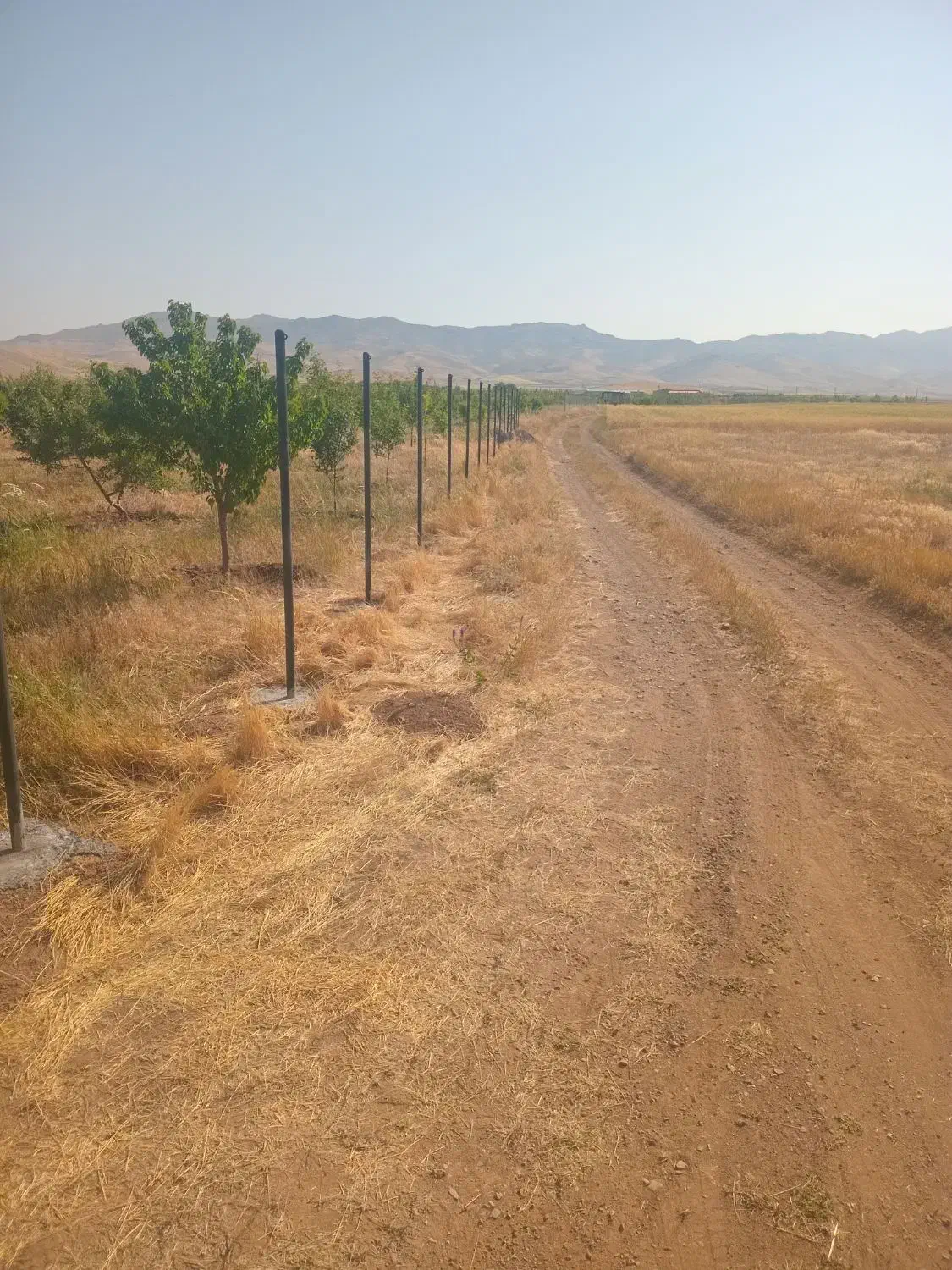 فنس کشی|خدمات باغبانی و درختکاری|زنجان, |دیوار