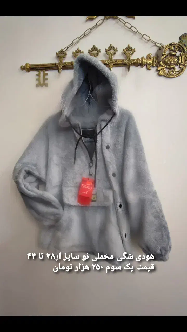 چند مانتو وپالتو سایز ۴۰و ۴۲و ۴۴|لباس|قم, شهرک مهدیه (مدرس)|دیوار
