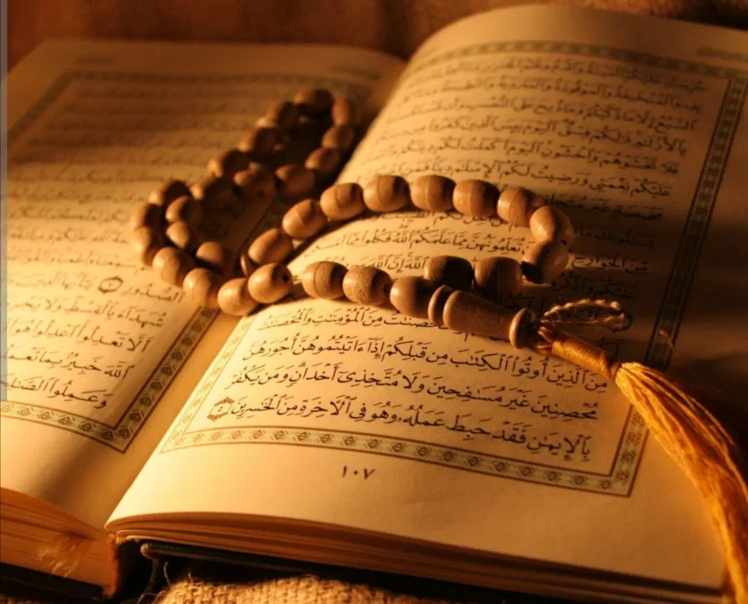 سرکتاب|کتاب و مجله مذهبی|بندر گناوه, |دیوار