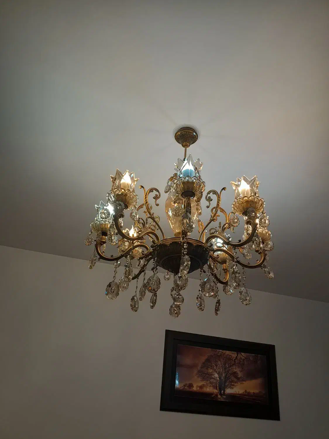 لوستربرنز|لوستر و چراغ آویز|تهران, بوستان چیتگر|دیوار