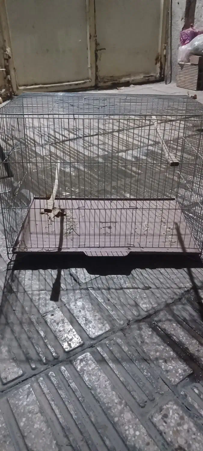 قفس قناری و مرغ عشق|لوازم جانبی حیوانات|ری, شهرک نظامی|دیوار