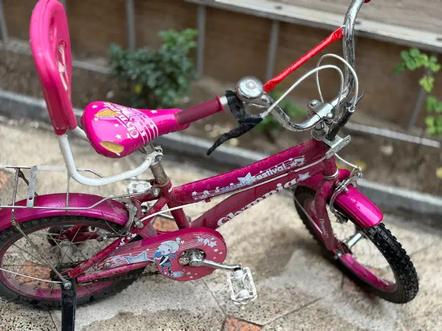 دوچرخه دخترانه|دوچرخه، اسکیت، اسکوتر|کنگاور, |دیوار