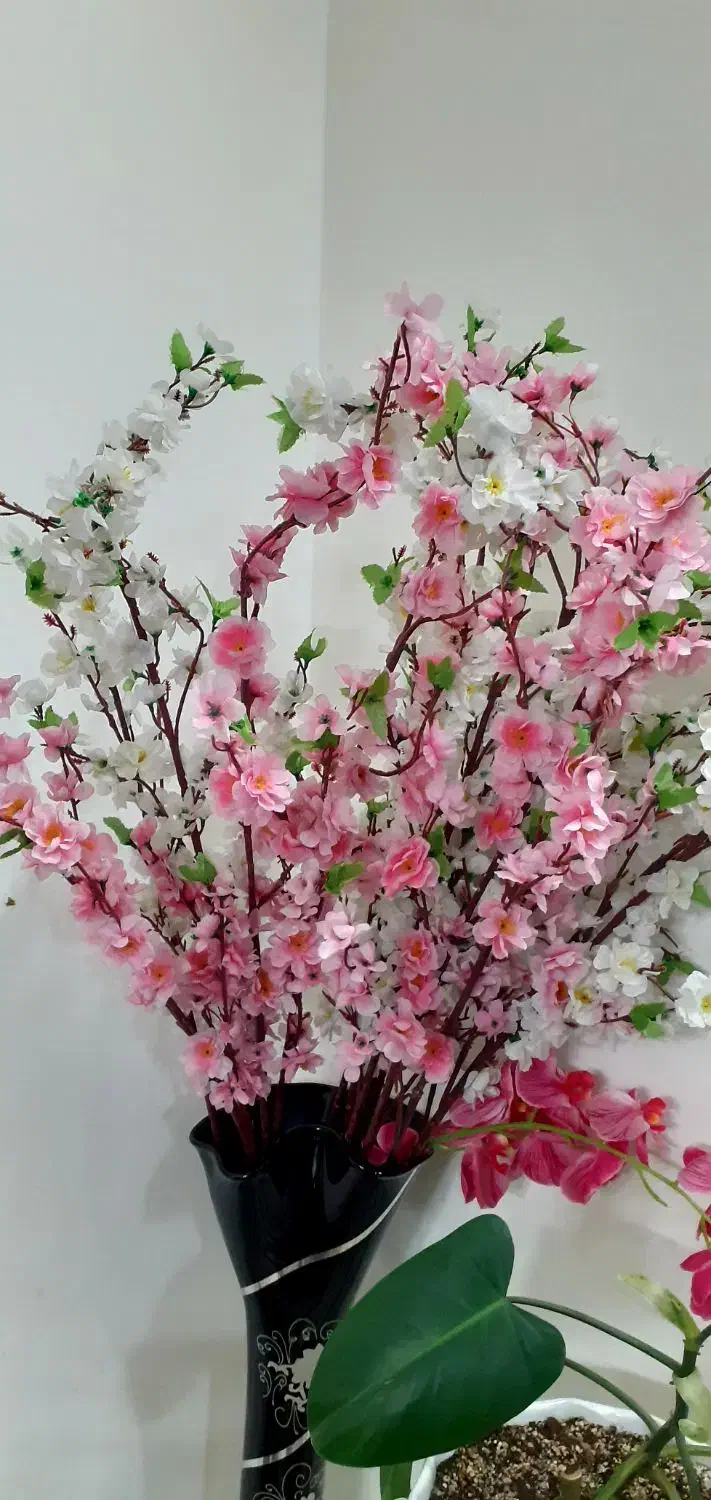 گل  طرح شکوفه|گل مصنوعی|مشهد, چاهشک|دیوار