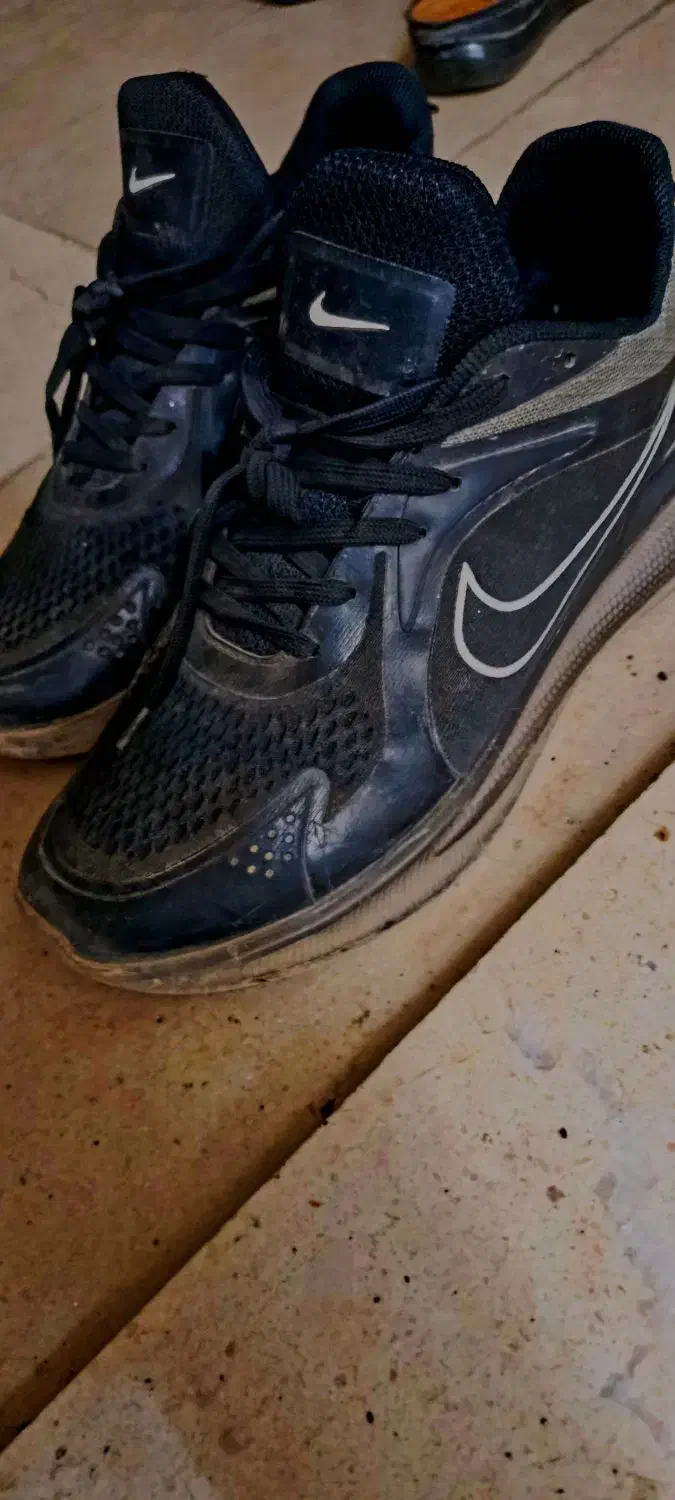 کفش‌نایک|کیف، کفش، کمربند|قم, شاه سید علی|دیوار