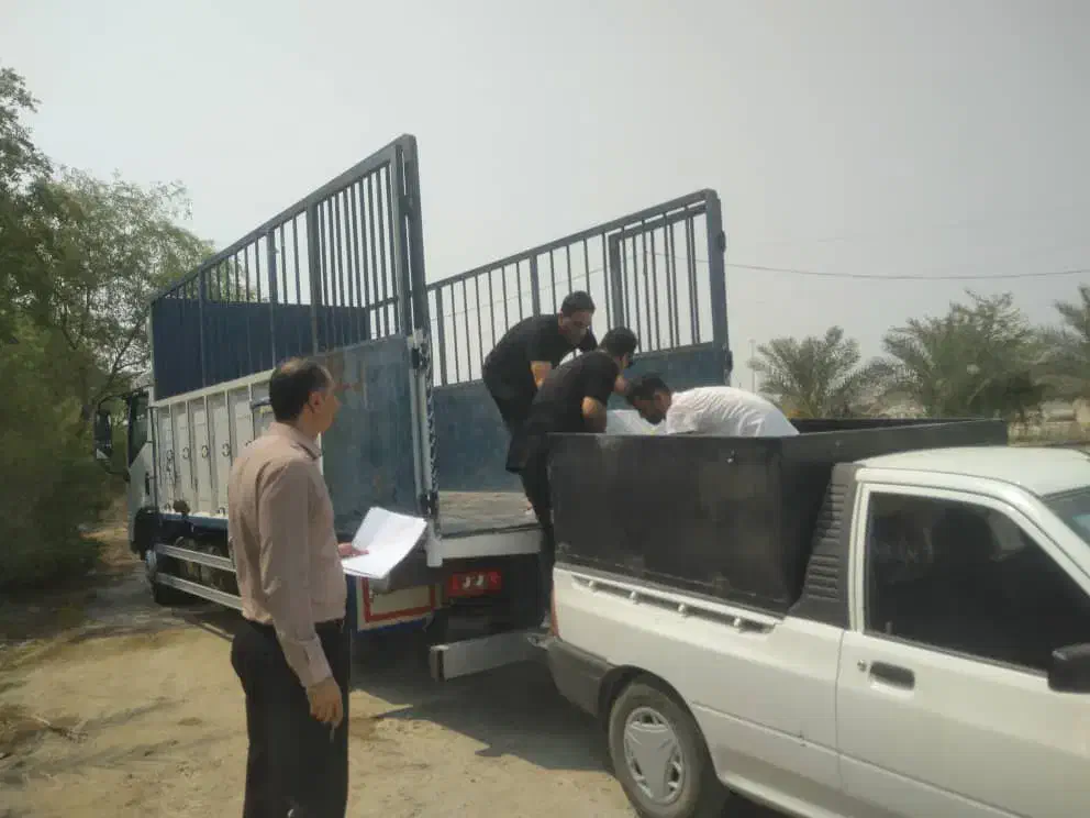 حمل بار اسباب منزل|خدمات حمل و نقل|برازجان, |دیوار