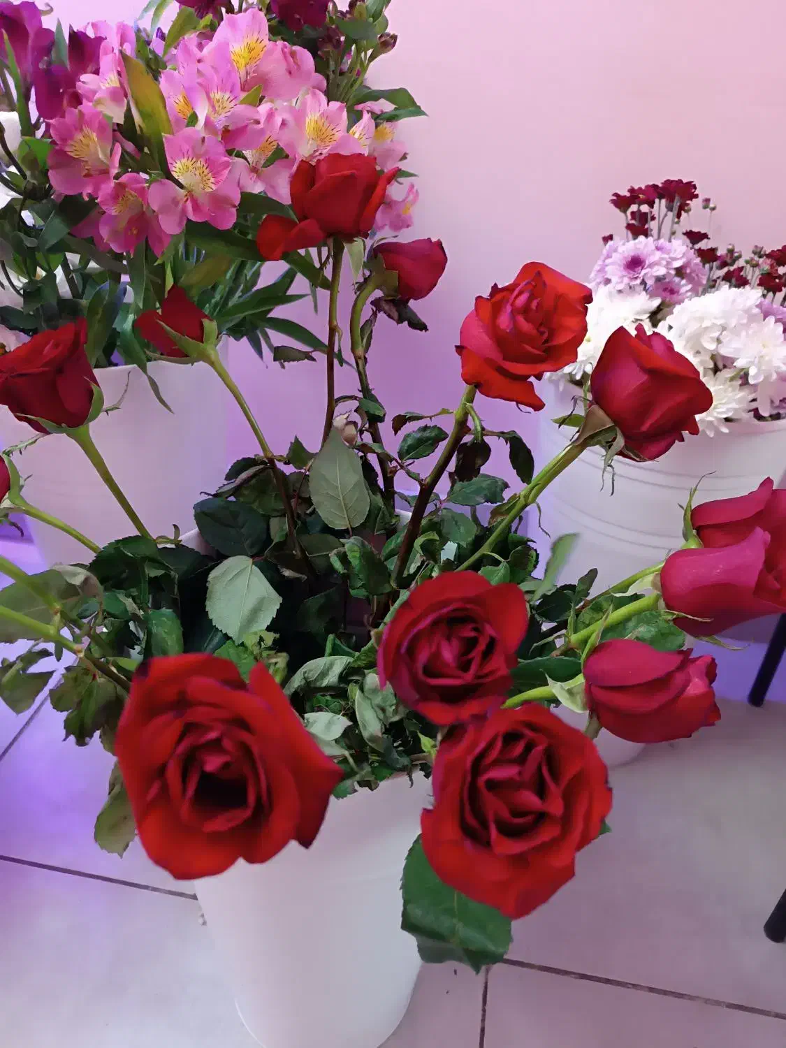 رز قرمز فقط شاخه ای ۴۵|گل و گیاه طبیعی|شیراز, عفیف‌آباد|دیوار