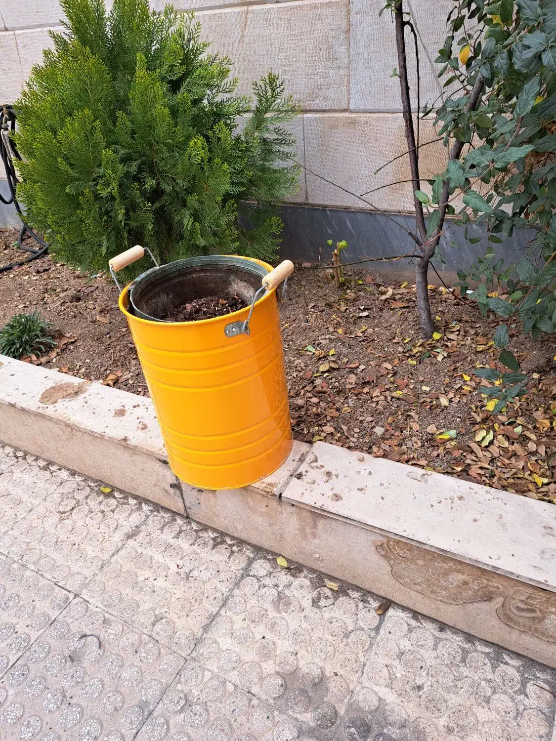 گلدلن فلزی|گل و گیاه طبیعی|تهران, نیروی دریایی|دیوار