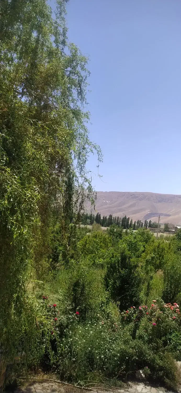 باغ ویلا|اجارهٔ کوتاهمدت ویلا و باغ|بروجرد, |دیوار