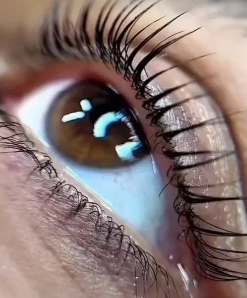 مدل جهت تکمیل آلبوم کاری اکستنشن مژه|خدمات آموزشی|پیشوا, |دیوار