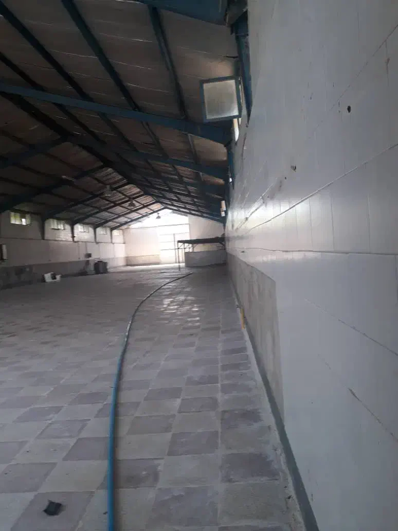 فروش کارخانه 1400دوکوهک|فروش دفتر صنعتی، کشاورزی، تجاری|شیراز, دوکوهک|دیوار