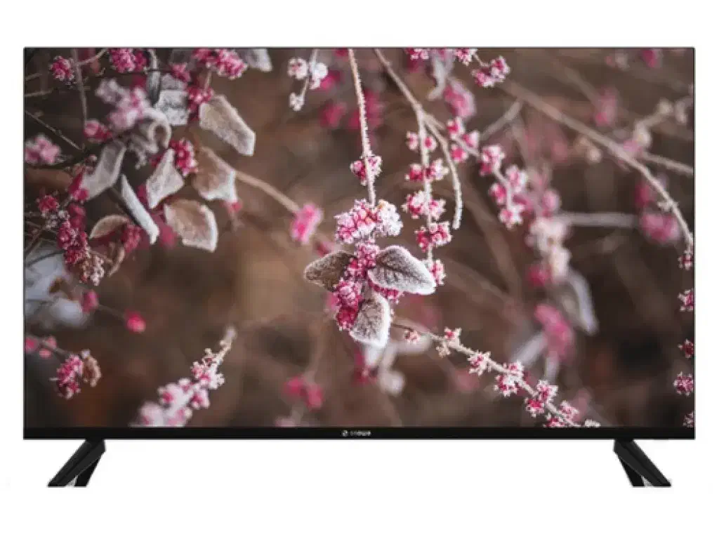 TV55 اینچ اسنوا|تلویزیون و پروژکتور|ایذه, |دیوار