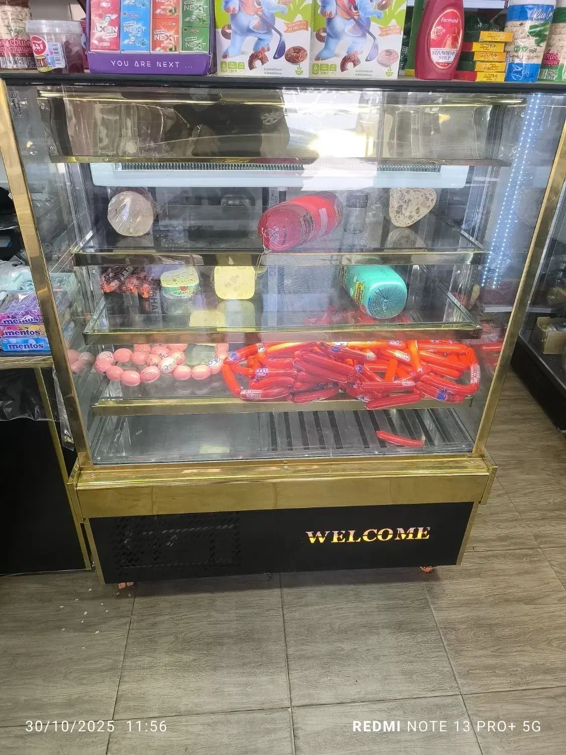 یخچال و لوازم پروتئینی|فروشگاه و مغازه|شهرکرد, |دیوار