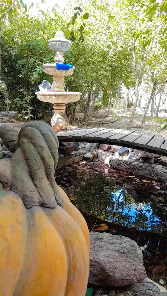 واگذاری کافیشاپ/۹۰متری/مبله /با لوازم کامل|اجارهٔ مغازه و غرفه|مشهد, کوشش|دیوار