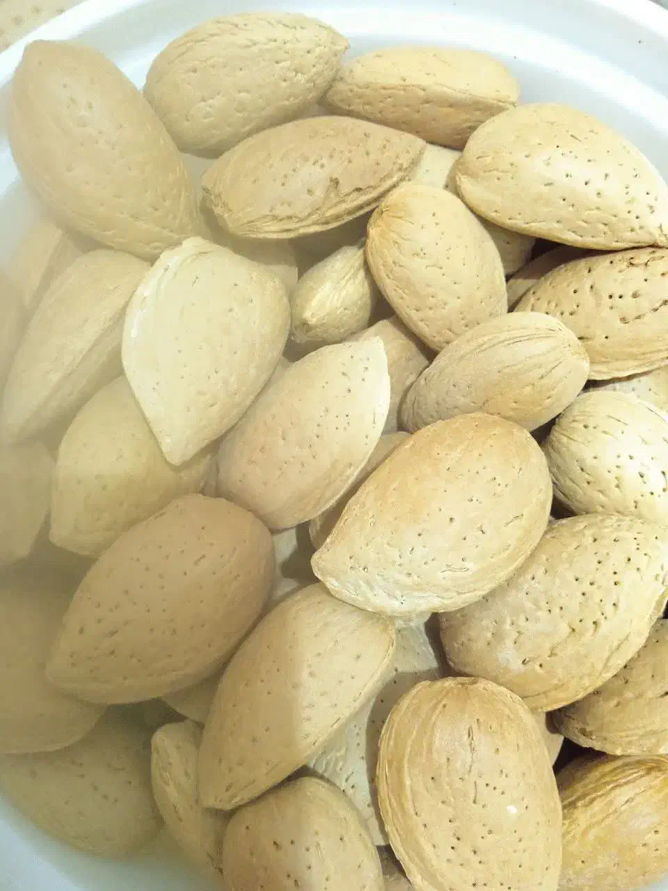 با د ام تمام شیرین امسالی|خوردنی و آشامیدنی|اردکان, |دیوار