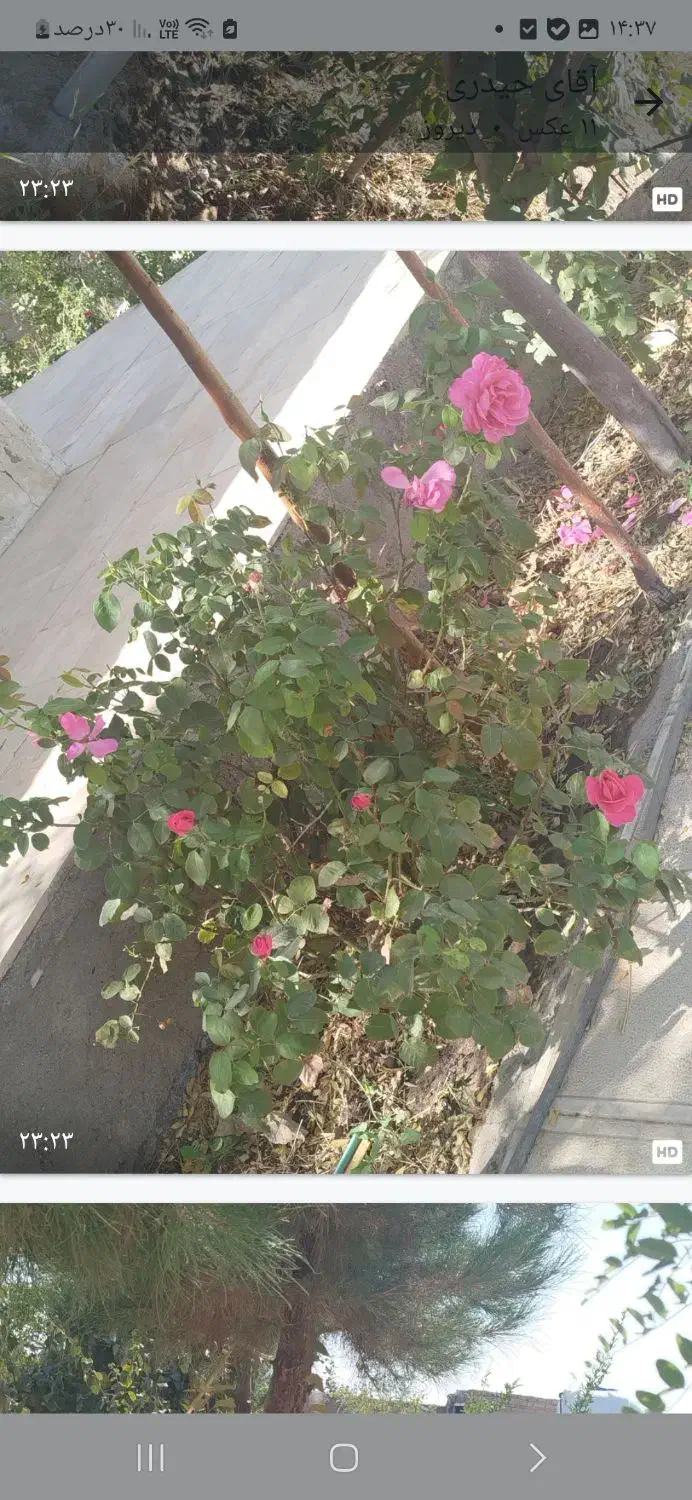 ویلا۱۱۰۰متری|فروش خانه و ویلا|تنکمان, |دیوار