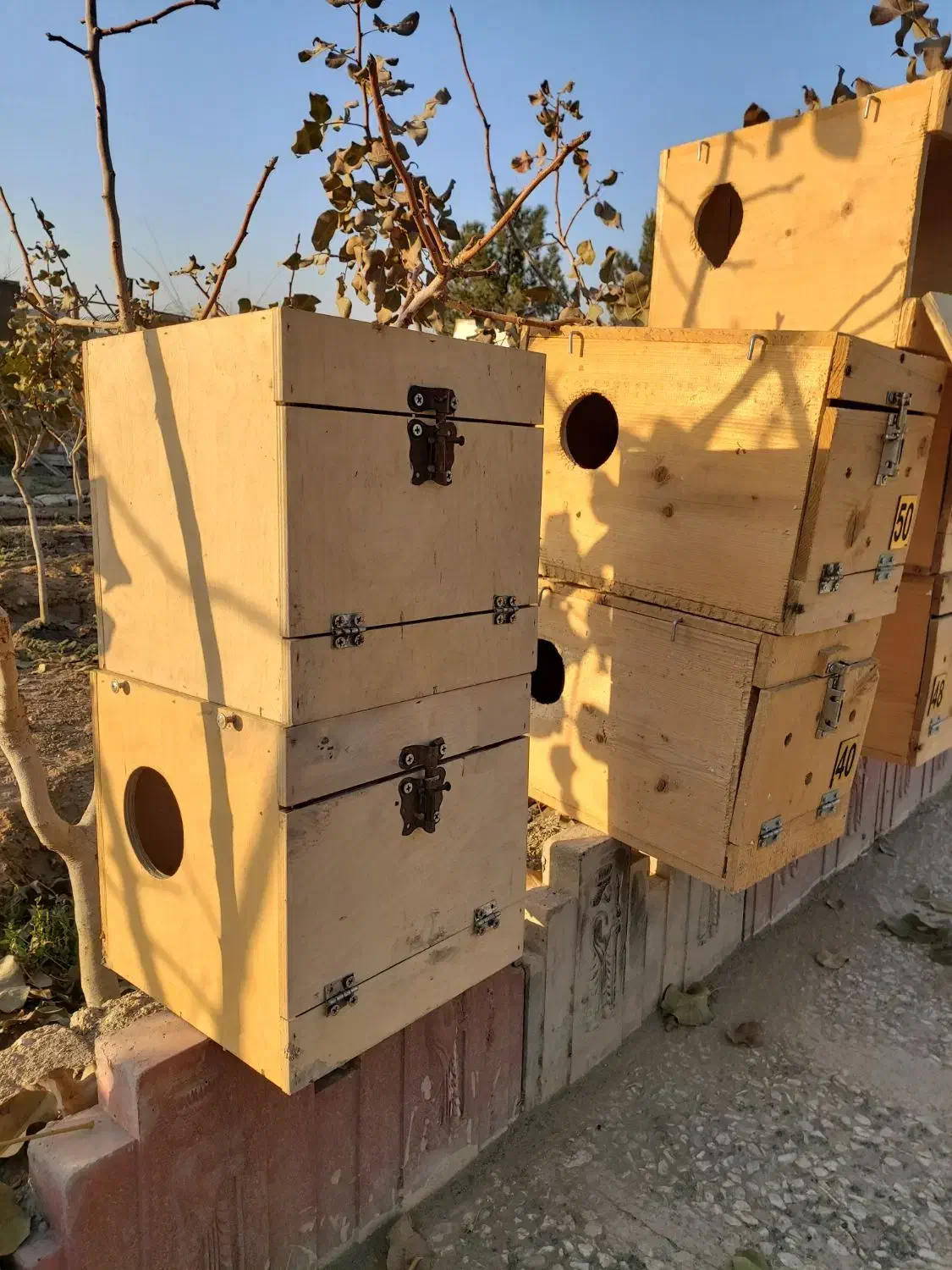 لانه مخصوص انواع طوطی|لوازم جانبی حیوانات|کهریزک, |دیوار