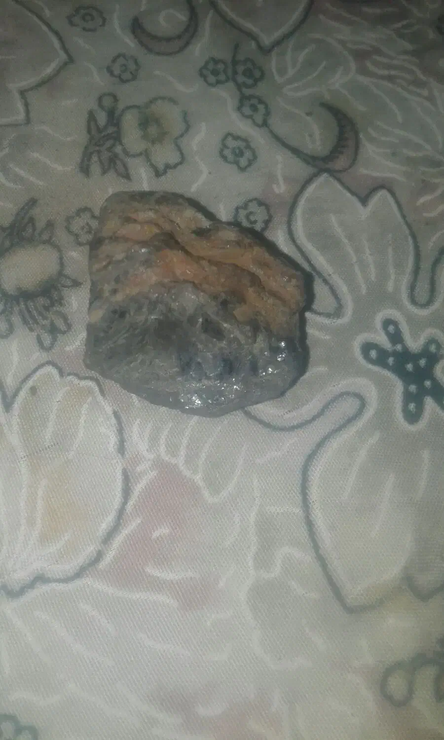 سنگ|کلکسیون و سرگرمی|زبرخان, |دیوار