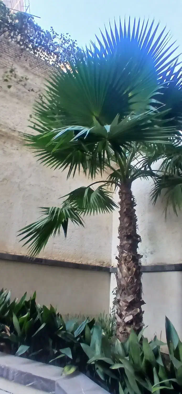 ۱۶۰ متری ۳ خواب مستر لابی کلید نخورده میناگل|فروش آپارتمان|گرگان, |دیوار