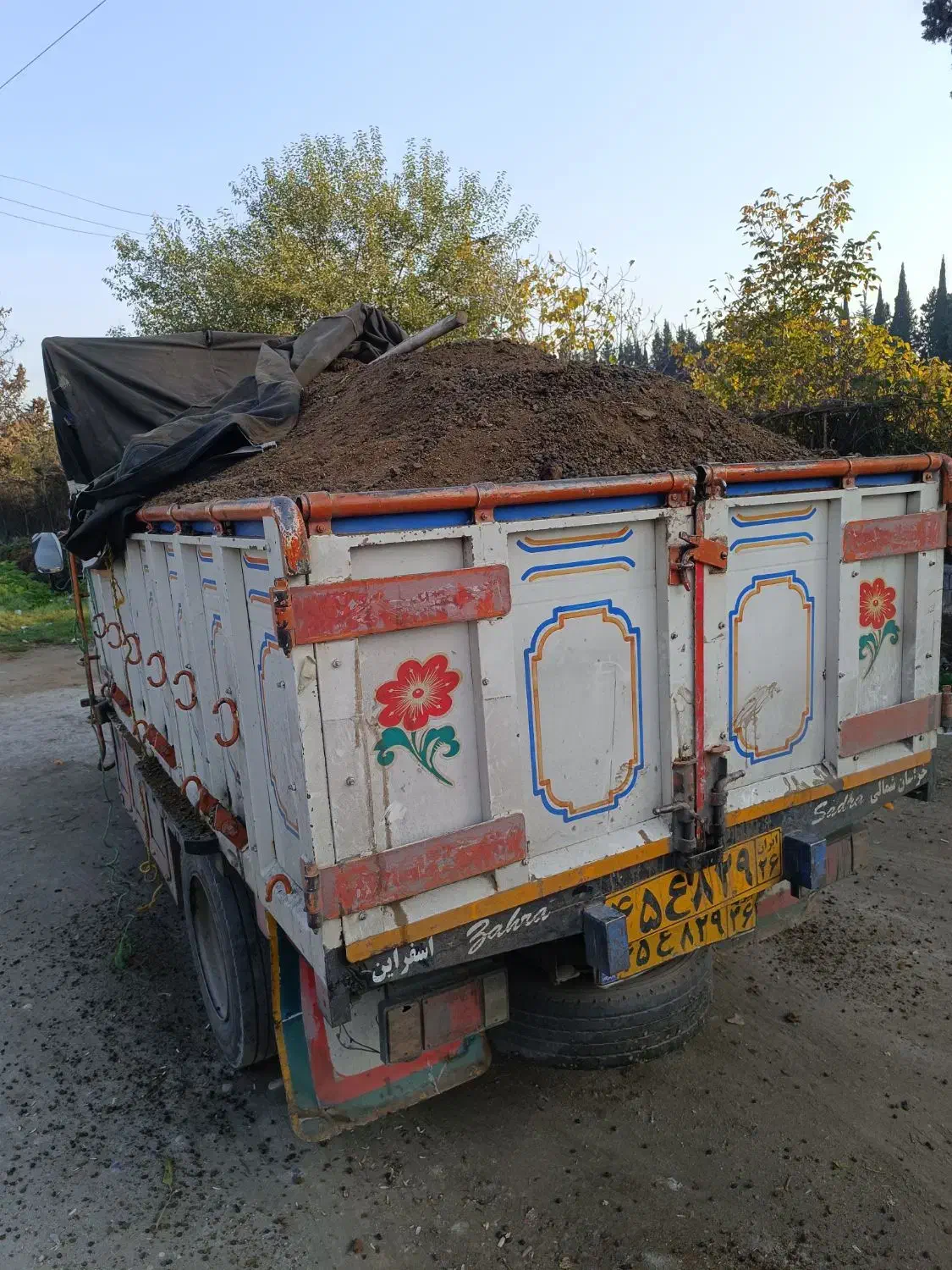 کود حیوانی گوسفند|خدمات باغبانی و درختکاری|ساری, |دیوار