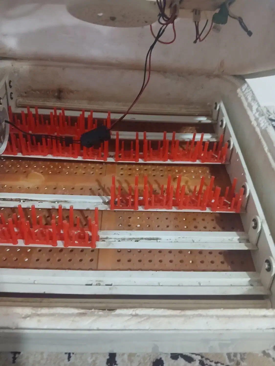 دستگاه جوجه کشی|ماشین‌آلات صنعتی|کردکوی, |دیوار