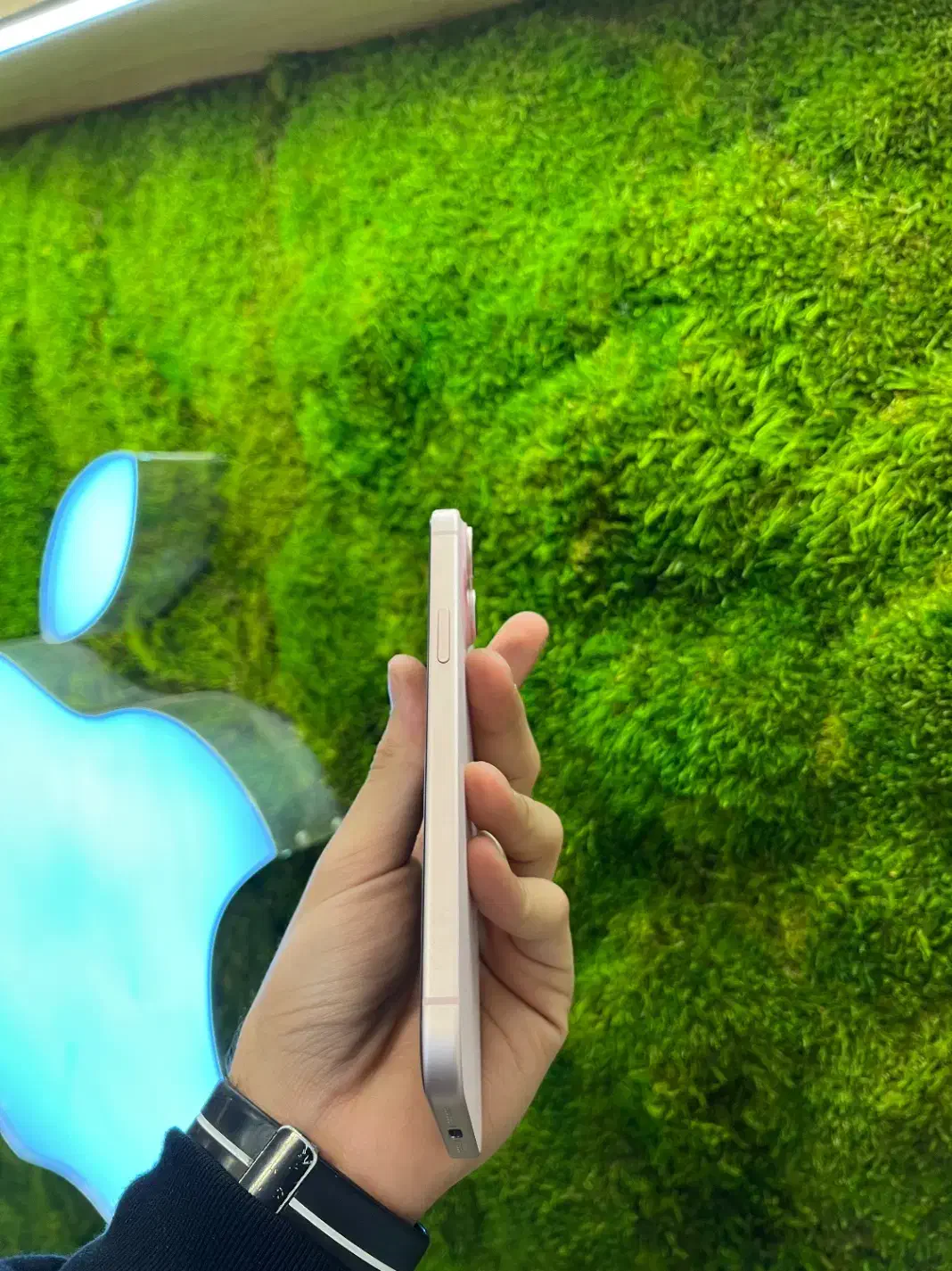 Iphone 15 plus|موبایل|اصفهان, چرخاب|دیوار