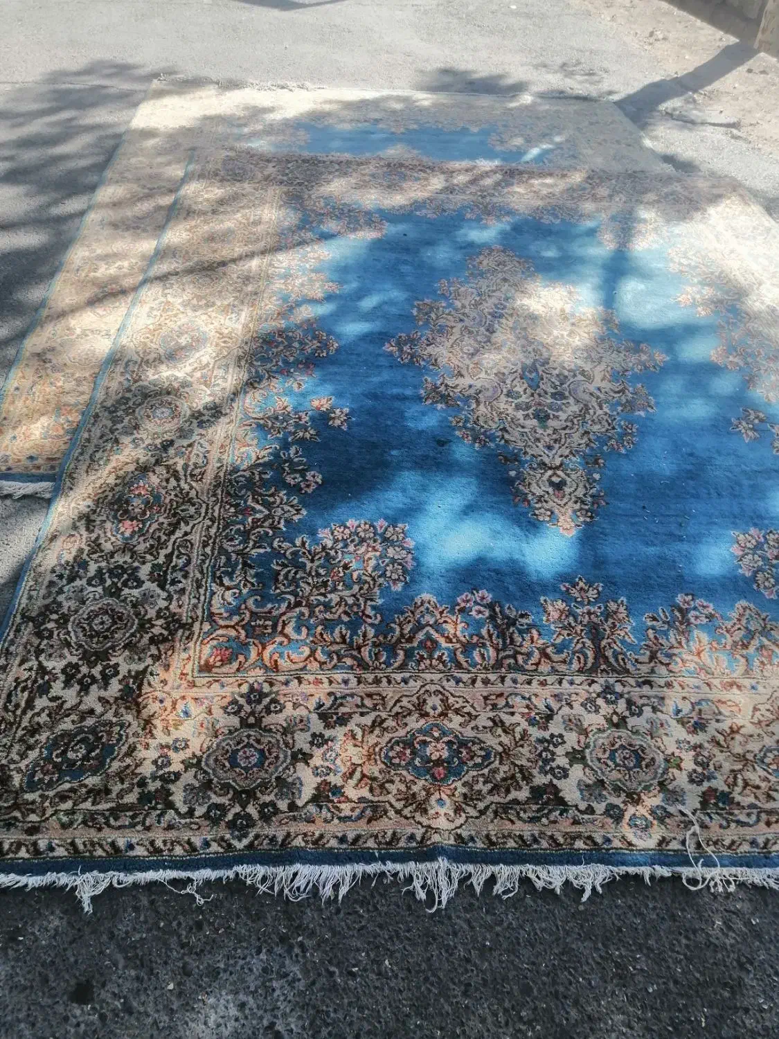 فرش دست بافت|فرش|کرمان, |دیوار