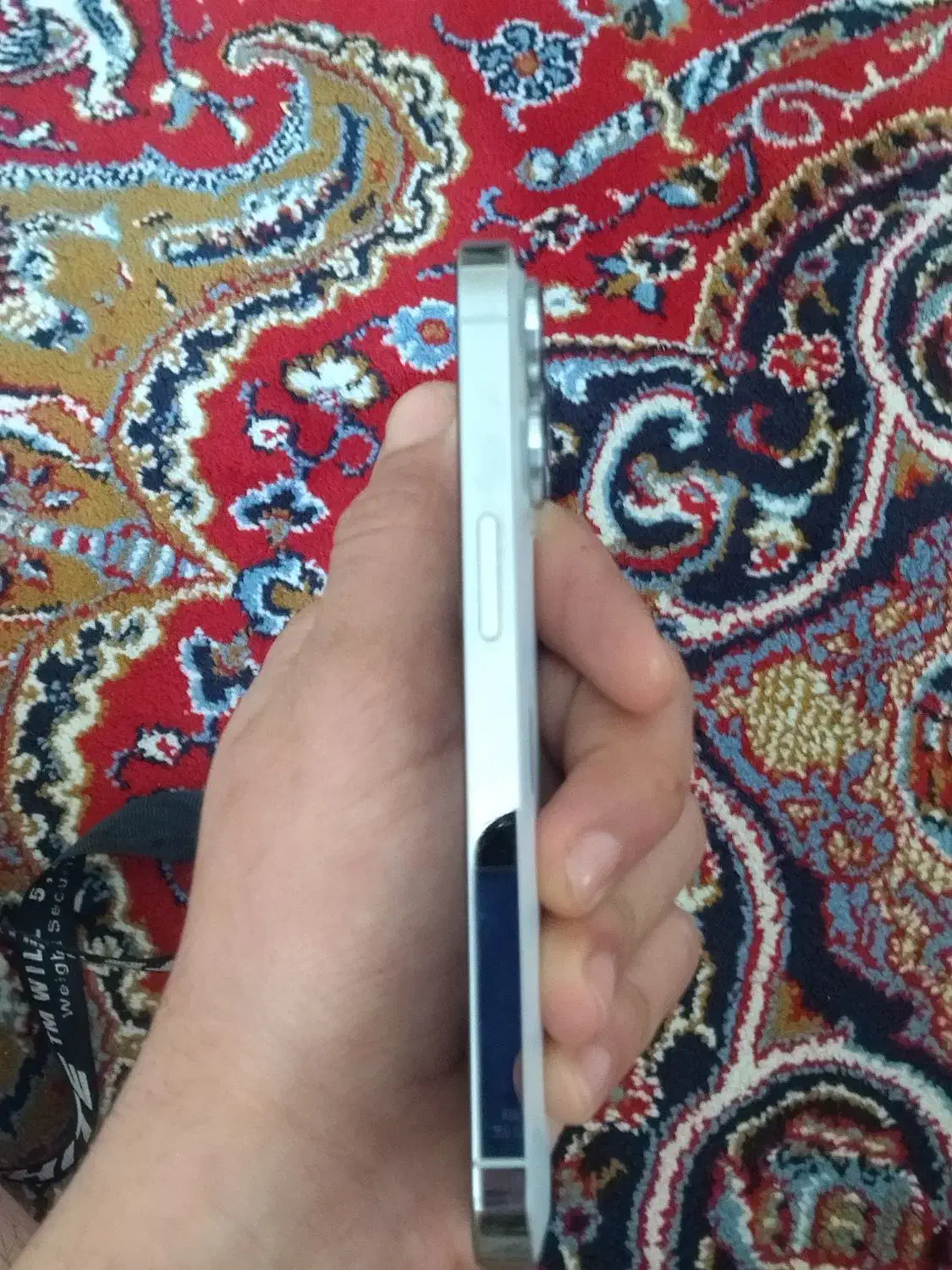 iphone13pro|موبایل|تربت جام, شهید غلام زاده|دیوار