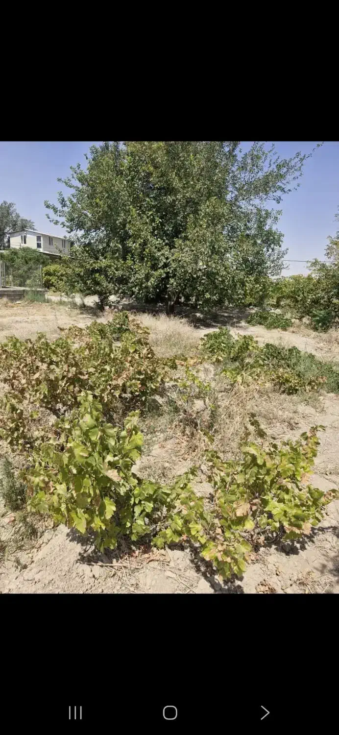 باغ دلیجان زیر اداره برق|فروش خانه و ویلا|دلیجان, |دیوار