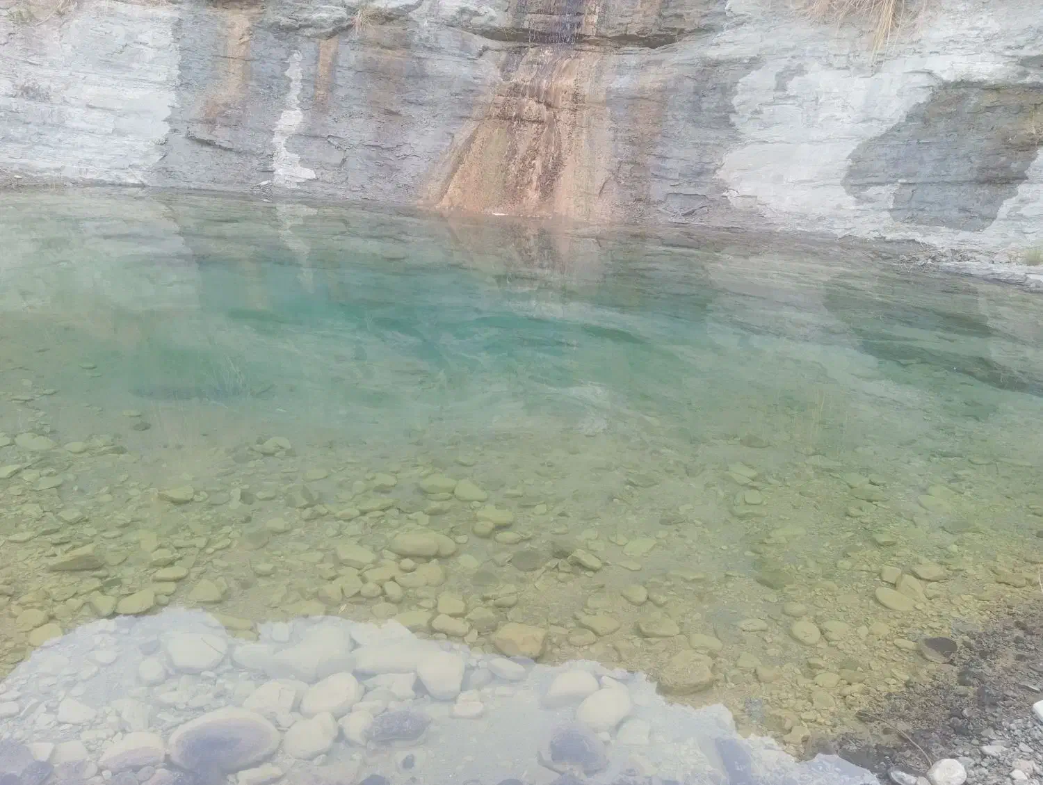 عسل زمستانه بشاگرد|خوردنی و آشامیدنی|جاسک, |دیوار