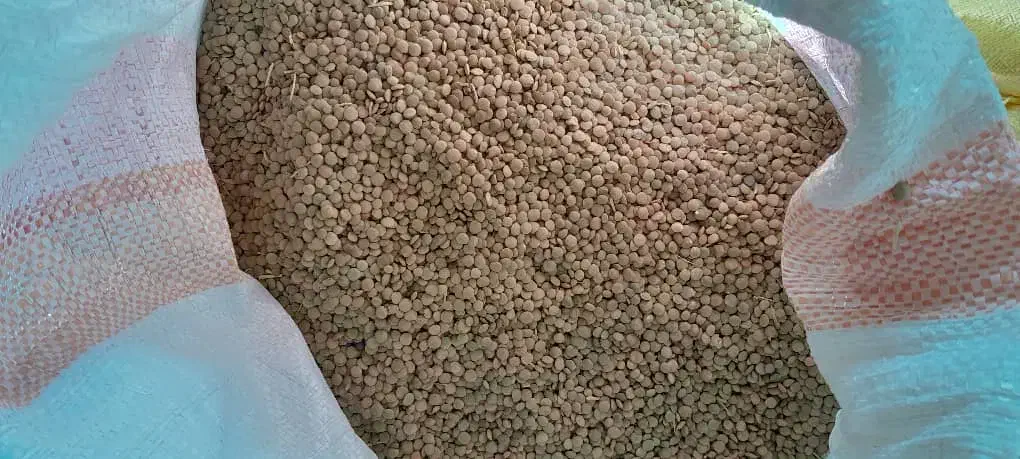 عدس درجه یک عالی پوخت سری|خوردنی و آشامیدنی|بزینه رود, |دیوار