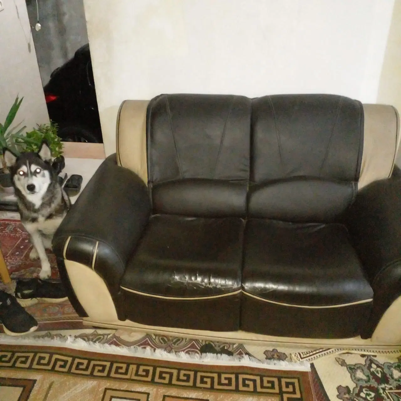 مبل کارکرده جنس چرم|مبلمان خانگی و میز عسلی|رشت, پاستوریزه|دیوار